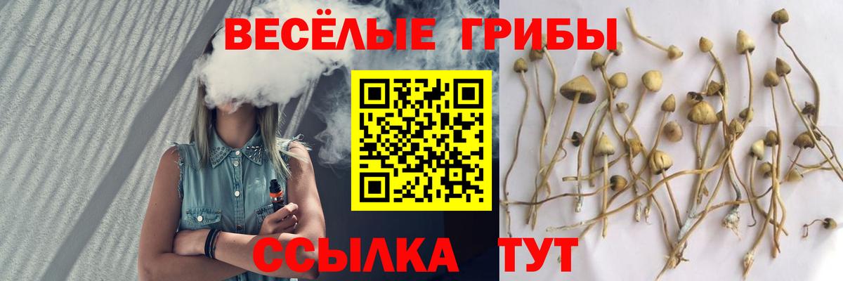 Галлюциногенные грибы MAGIC MUSHROOMS Самара